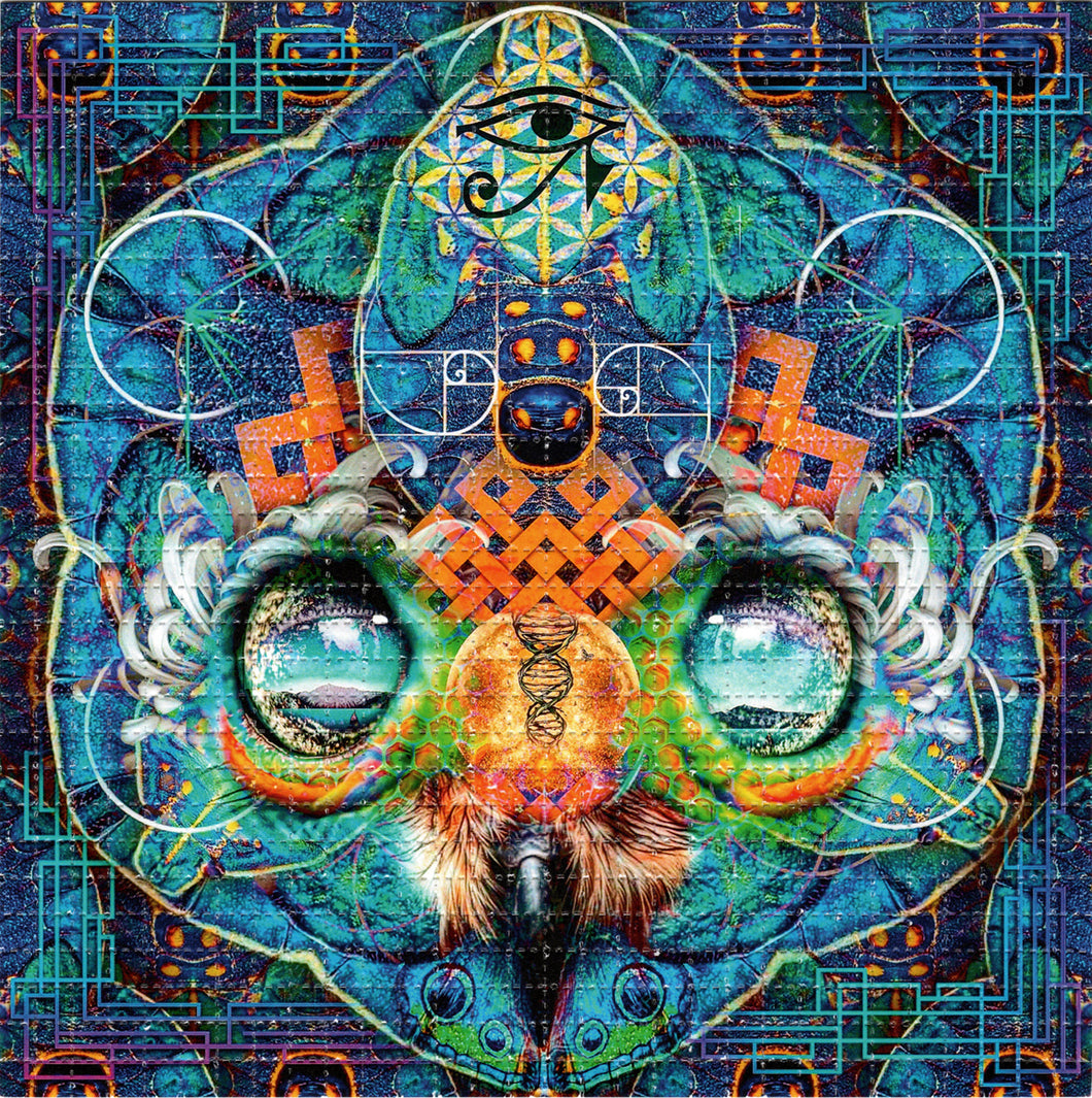 Owl Face By Zack Prestage Signed, Numbered Blotter art